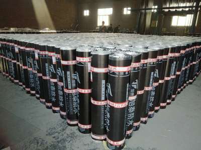 内蒙古自治区SBS防水卷材价格解析 选购与施工要点全指南